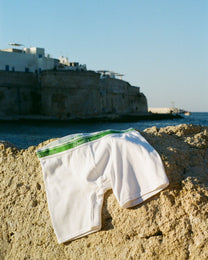 Classic Boxer Brief Trio