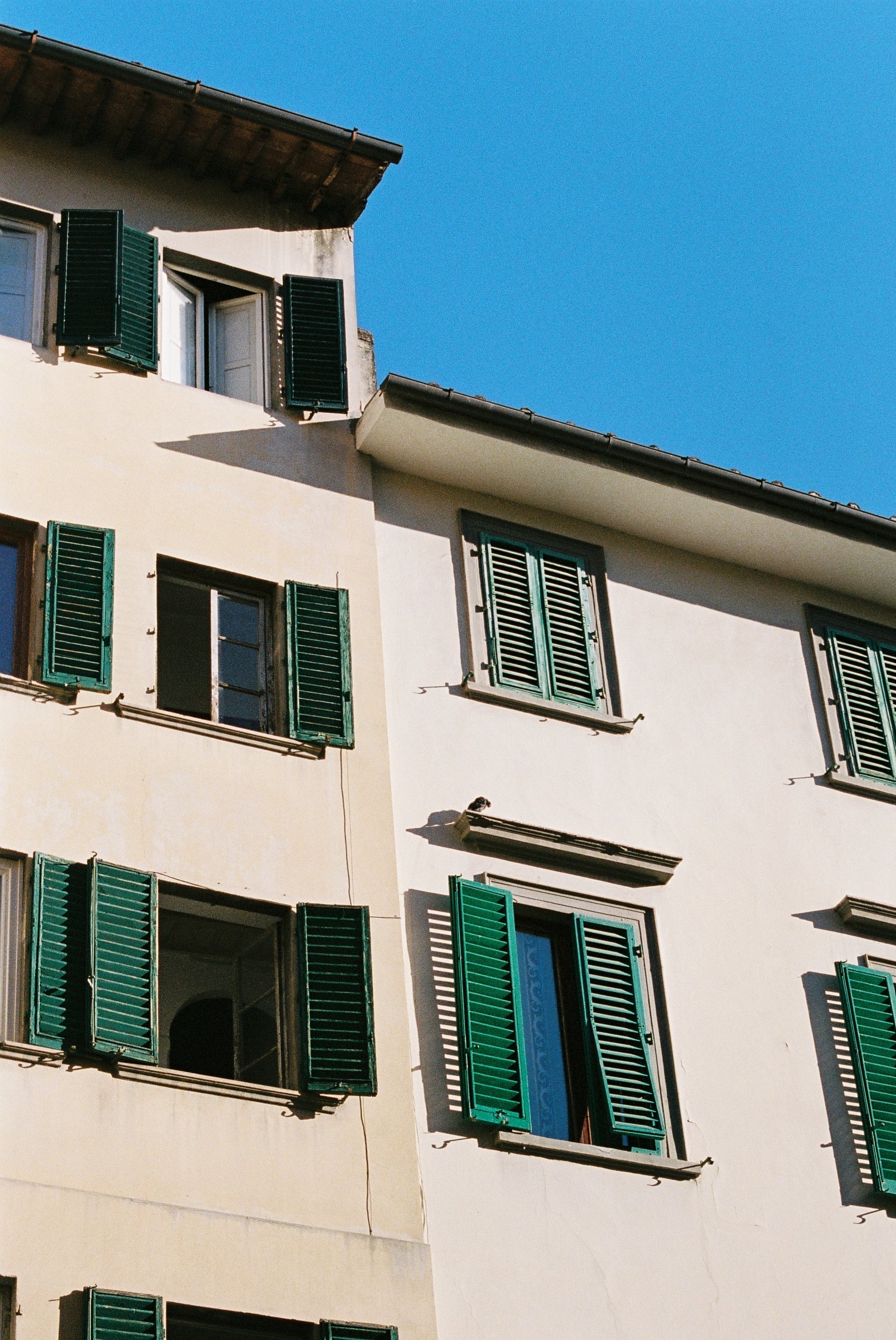Building facade in Florence, Italy with green shutters against a blue sky
